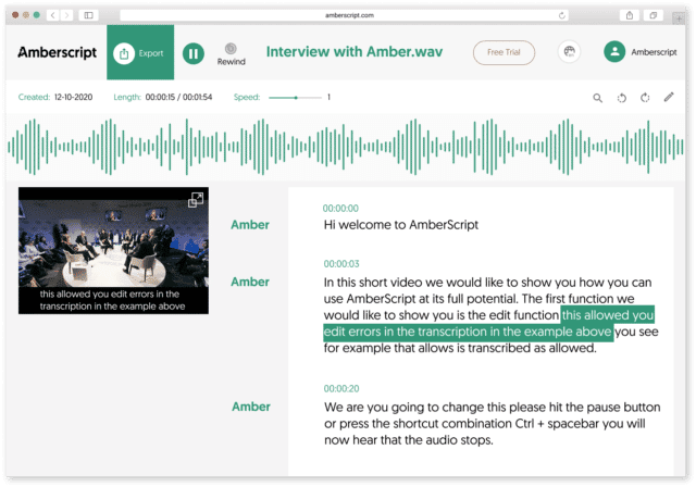 Online video transcript editor example view