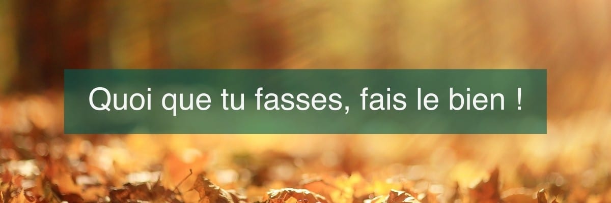 Quoi que tu fasses, fais le bien !