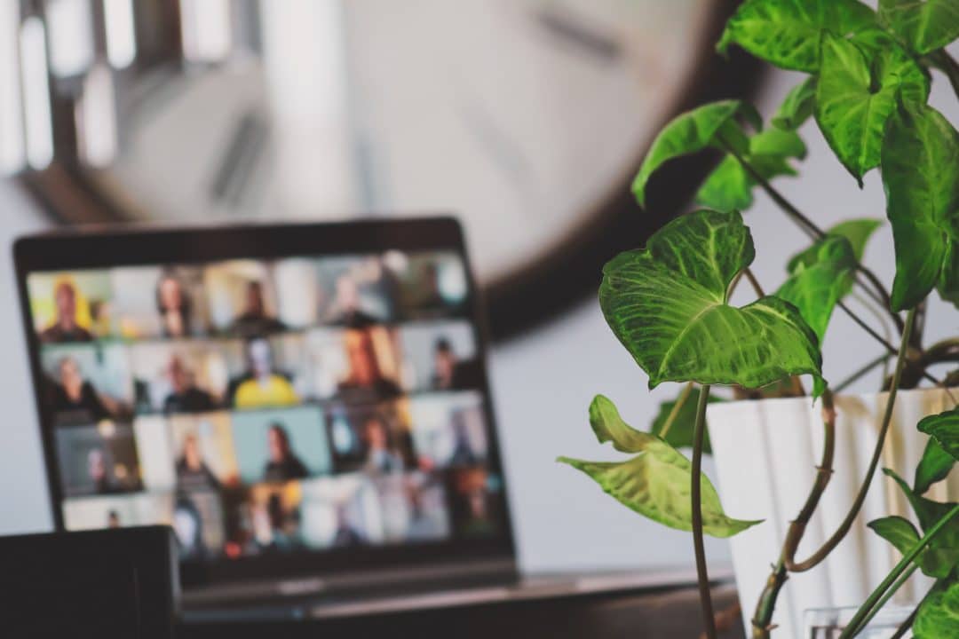 Laptop with an online meeting displayed on screen, with a green plant in the front of the picture